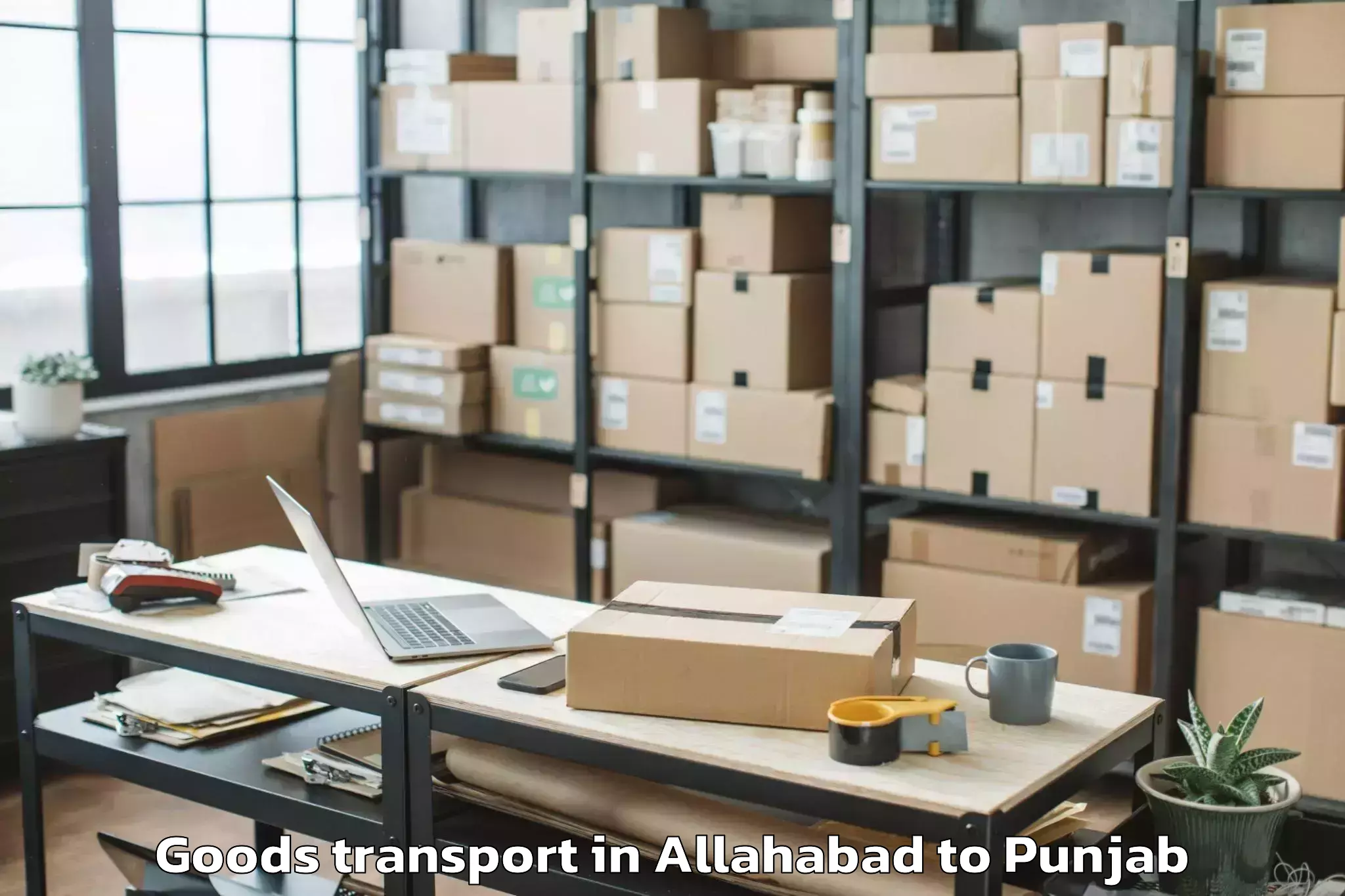 Trusted Allahabad to Guru Nanak Dev University Amri Goods Transport